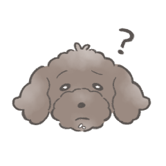 [LINEスタンプ] トイプー？？