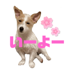 [LINEスタンプ] アーモのぽんぽん7