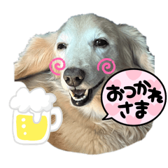 [LINEスタンプ] ミニチュアダックスのきもち