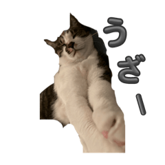 [LINEスタンプ] れおちゃんをスタンプにしました