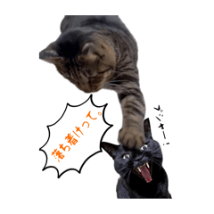 [LINEスタンプ] 僕らの日常: あめちゃん＆うらちゃん