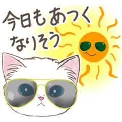 [LINEスタンプ] 夏猫の☆日常スタンプ