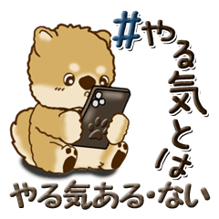 [LINEスタンプ] 柴犬『やる気ある？ない？』