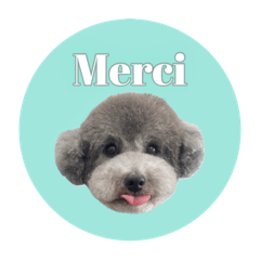 [LINEスタンプ] 私はメルシー！4