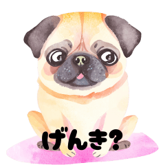 [LINEスタンプ] 愛しのカラフルパグちゃん