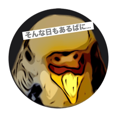 [LINEスタンプ] 個性を出したい方へおくるインコスタンプ1