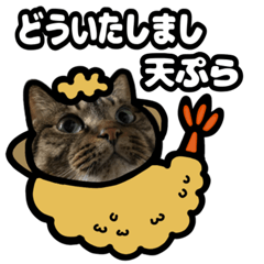 [LINEスタンプ] 動くキジトラ猫(ダジャレ)