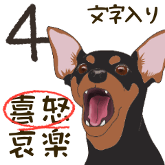 [LINEスタンプ] ミニピンのスタンプ4［喜怒］文字有（bt）