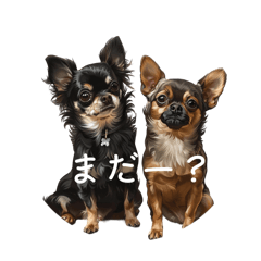 [LINEスタンプ] チワワとはチワワ
