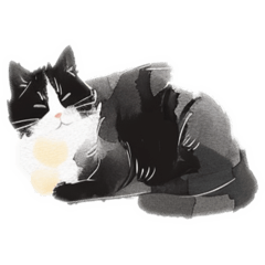 [LINEスタンプ] Laid-back stray catsの画像（メイン）