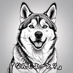 [LINEスタンプ] しゃべるハスキー犬（博多弁）