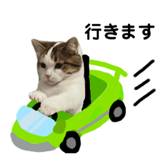 [LINEスタンプ] しょぱにの日常