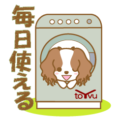 [LINEスタンプ] わんこ日和(キャバリア)①-toYvu-