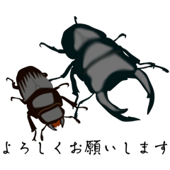 [LINEスタンプ] オオクワガタversion2能勢YG血統スタンプ