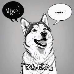 [LINEスタンプ] しゃべるハスキー犬（東京弁）