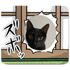 [LINEスタンプ] ♡黒猫2♡の画像（メイン）