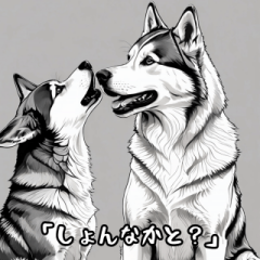 [LINEスタンプ] しゃべるハスキー犬（博多弁）3