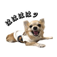 [LINEスタンプ] ぽんずII