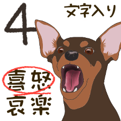 [LINEスタンプ] ミニピンのスタンプ4［喜怒］文字有（ct）