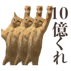 [LINEスタンプ] 会社で働く猫 ネガティブ悪口編