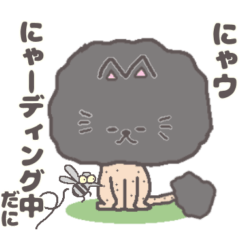 [LINEスタンプ] サマーカットにゃんこ 黒猫 静岡方言