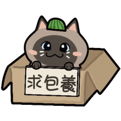 [LINEスタンプ] シャム猫スイカの日常