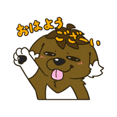 [LINEスタンプ] CooHeeFamilyスタンプ