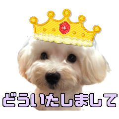 [LINEスタンプ] マルプーのエルくん