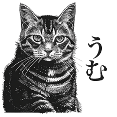 [LINEスタンプ] リアル猫のお返事