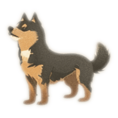 [LINEスタンプ] Dogs of all kinds