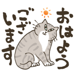 [LINEスタンプ] まいにち筆文字♡猫だらけ