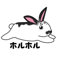 [LINEスタンプ] ピーちゃんといっしょ