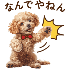 [LINEスタンプ] トイプードルと関西弁！！の画像（メイン）