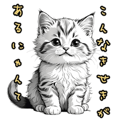 [LINEスタンプ] リアルねこ日和