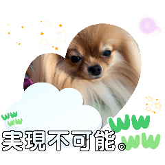 [LINEスタンプ] 横浜市泉区立場駅お笑いコンビの愛犬 挨拶