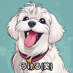 [LINEスタンプ] かわいい犬 マルチーズ