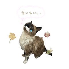 [LINEスタンプ] まひるときなこ2