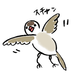 [LINEスタンプ] 文鳥シナモンさん