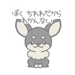 [LINEスタンプ] ぼくちわわだからわかんない