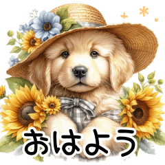 [LINEスタンプ] 毎日使える♡夏のゴールデンレトリバー