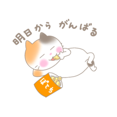 [LINEスタンプ] おデブ猫さん