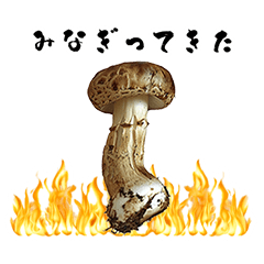 [LINEスタンプ] ラフなきのこのフレーズ