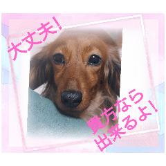 [LINEスタンプ] ダックスラらぶらぶ