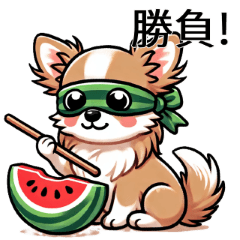 [LINEスタンプ] チワワの夏連絡