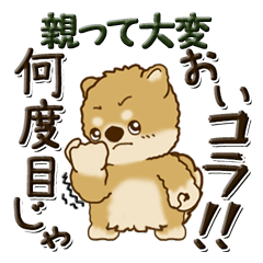 [LINEスタンプ] 柴犬・茶色い犬 『親って大変なんだよね』