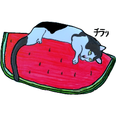 [LINEスタンプ] 重度精神障害者による色々手描き猫の夏休み