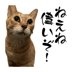 [LINEスタンプ] ちゃーくんからねえねへ3