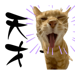 [LINEスタンプ] ちゃーくんからパパへ4