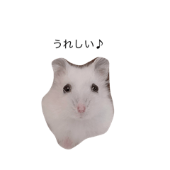 [LINEスタンプ] はむびより