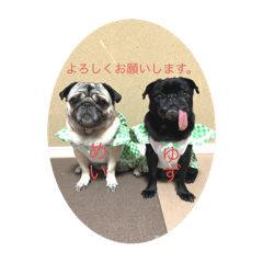 [LINEスタンプ] 884家のお嬢さんたち